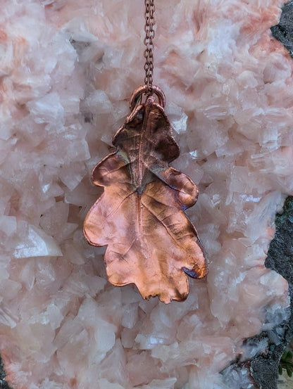Oak — Lobed Leaf Study (Specimen No. 002)
