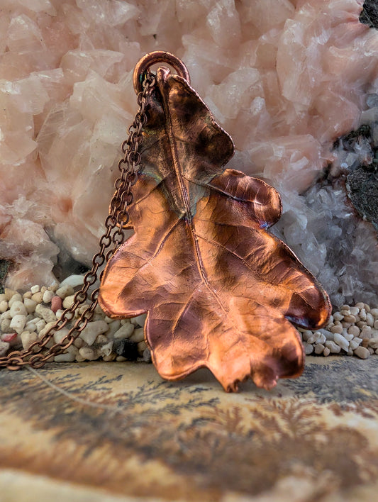 Eik — Studie van gelobd blad (Exemplaar nr. 002)