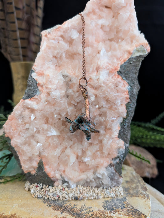 Botfragment — Osteologisch onderzoek (Specimen nr. 001)