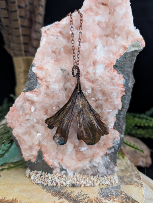 Ginkgo — Waaierbladstudie (Exemplaar nr. 006)