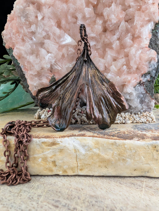 Ginkgo — Waaierbladstudie (Exemplaar nr. 006)