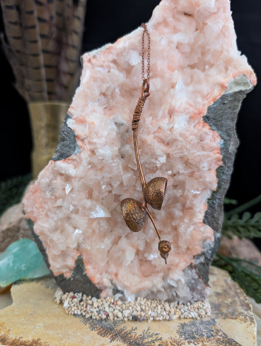 Eikel — Kap- en steelstudie (Exemplaar nr. 001)