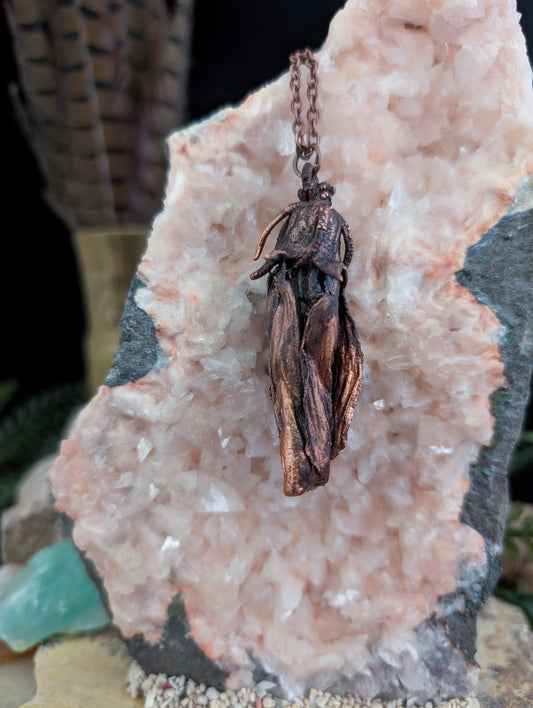 Ongeïdentificeerd — Bloeistudie (Specimen Nr. 001)