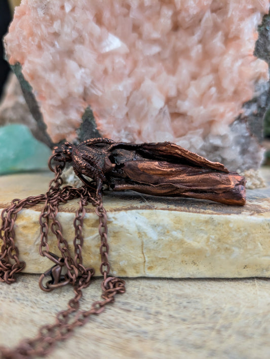 Ongeïdentificeerd — Bloeistudie (Specimen Nr. 001)