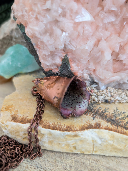 Vingerhoedskruid — Klokbloemstudie (Specimen Nr. 002)