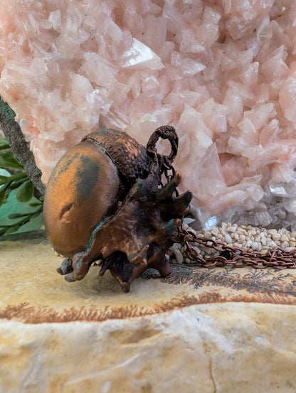 Acorn — Aberrant Seed Form (Specimen No. 001)